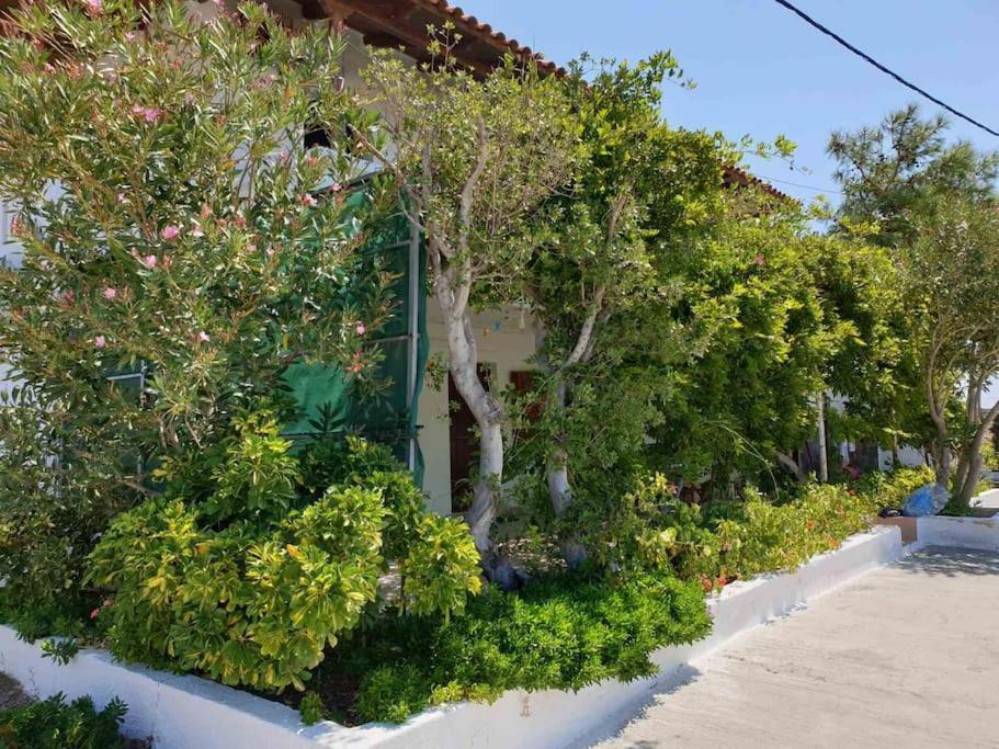 Traditional Olive House Makrýgialos المظهر الخارجي الصورة