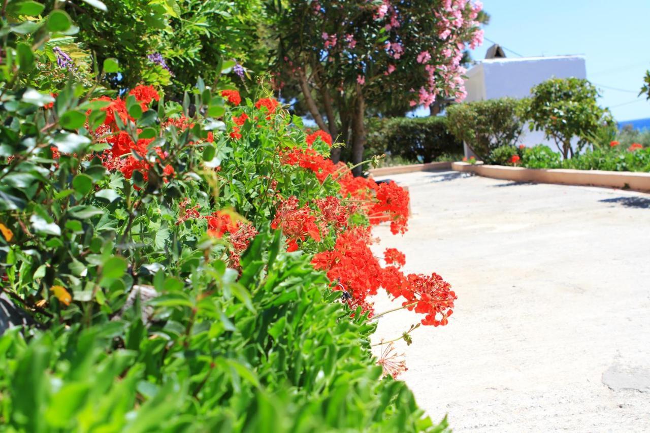 Traditional Olive House Makrýgialos المظهر الخارجي الصورة